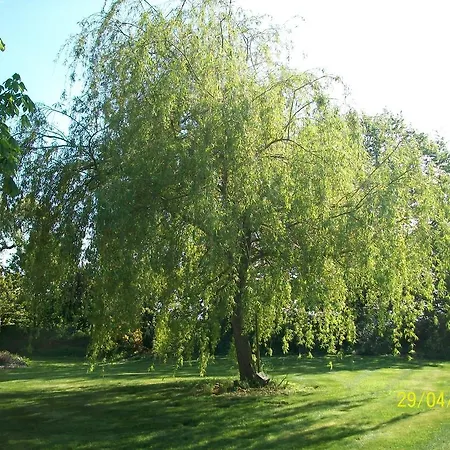 Le Manoir Au Court
