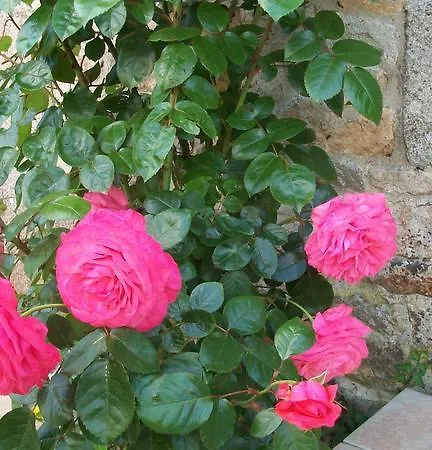 Hébergement de vacances Le Manoir Au Court Vessey